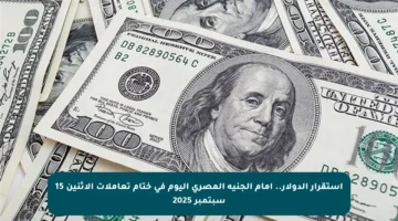 استقرار الدولار.. أمام الجنيه المصري اليوم في ختام تعاملات الإثنين 15 سبتمبر 2025